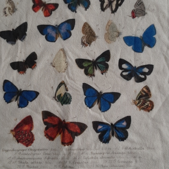 NWOT Butterfly Print 100% Ring Spun Cotton Tee - Picture 3 of 5